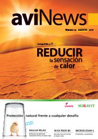 Agrogi, expertos en proyectos avícolas