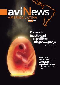 AviNews International June 2025