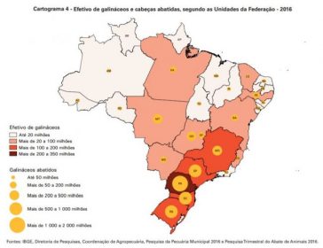 Plantel de aves brasileño creció 1,9% pese a costos de producción