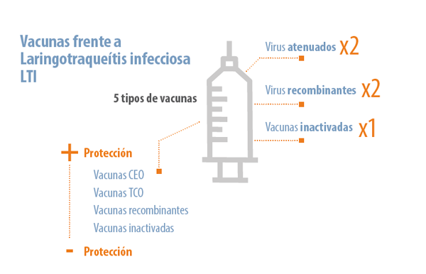 inmunización virus
