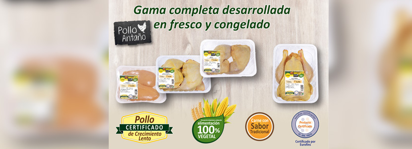 UVESA LANZA SU NUEVA GAMA POLLO ANTAÑO