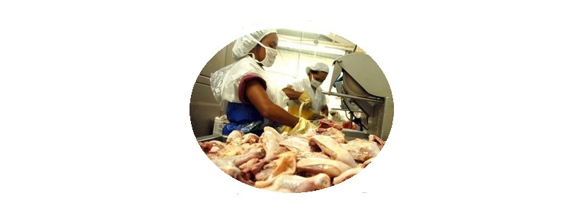 Venezuela: Propuesta para bajar precios de productos avícolas