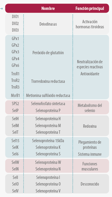 alimentación avicultura