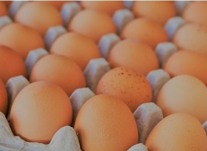 Argentina: incrementa consumo de huevo