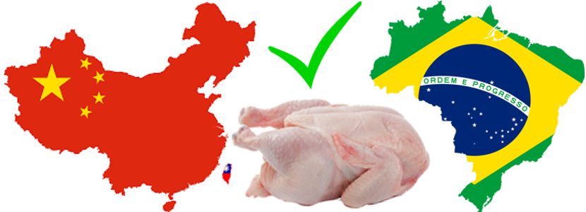 Brasil: China habilita nuevas plantas exportadoras de carne de ave