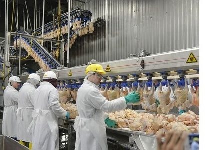 Pollo de EE.UU. podrá cruzar la frontera hacia México con o sin TLCAN