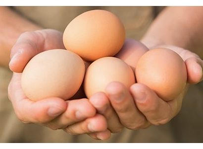 Nestlé permitirá solo huevos libres de jaulas en su producción el 2025 ovos livres de gaiolas