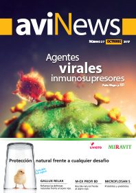 AviNews International June 2025