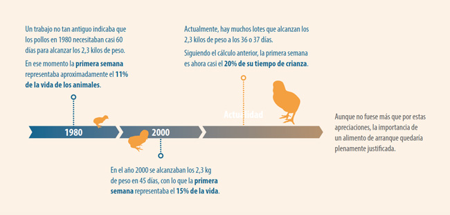 nutrición avicultura pré-iniciadores