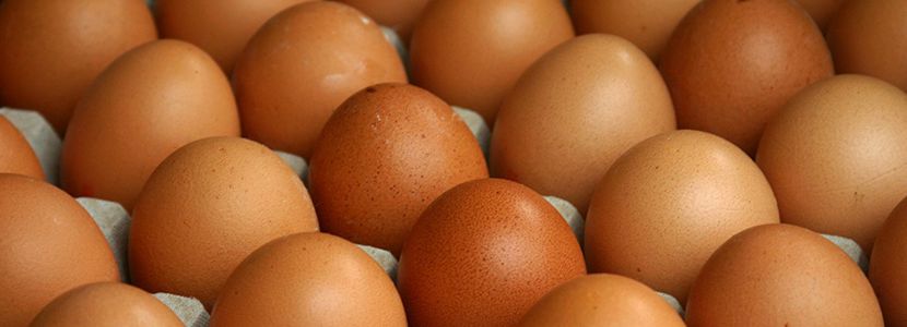 Brasil consumo per capta ovos 2017