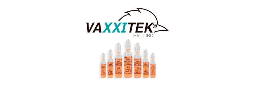 Vaxxitek® analiza la Enfermedad de Gumboro en Info Visuals
