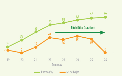 alternativas naturales