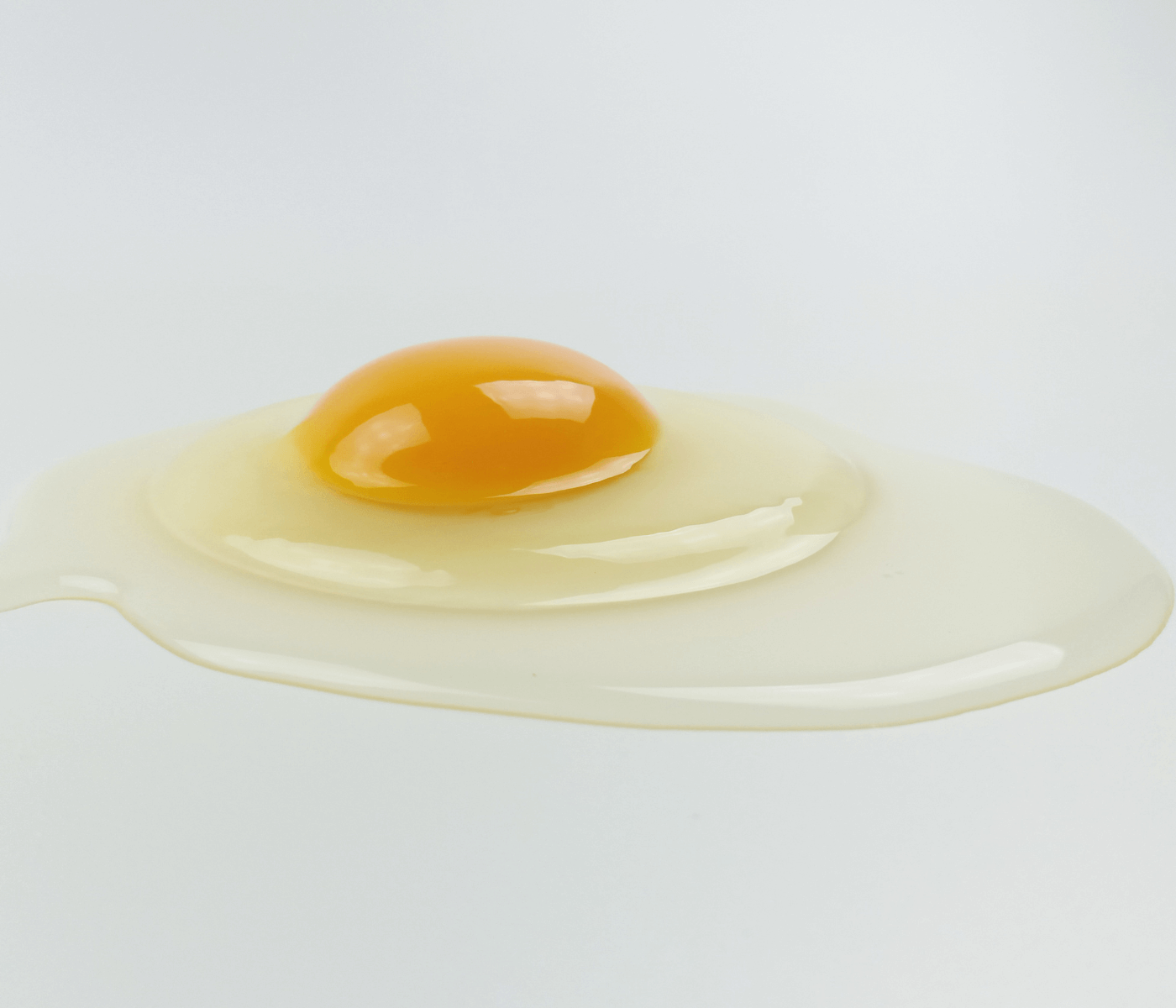 A qualidade do ovo em foco: qualidade interna