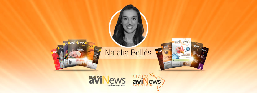 revista avinews