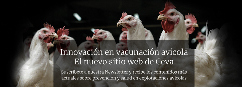 vacunación avi