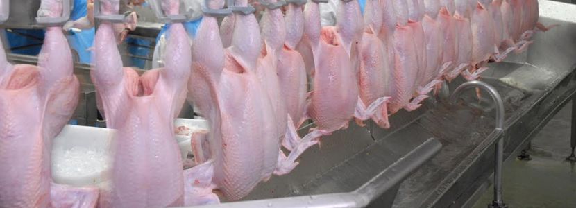Brasil presenta defesa sobre investigación dumping de pollo en China