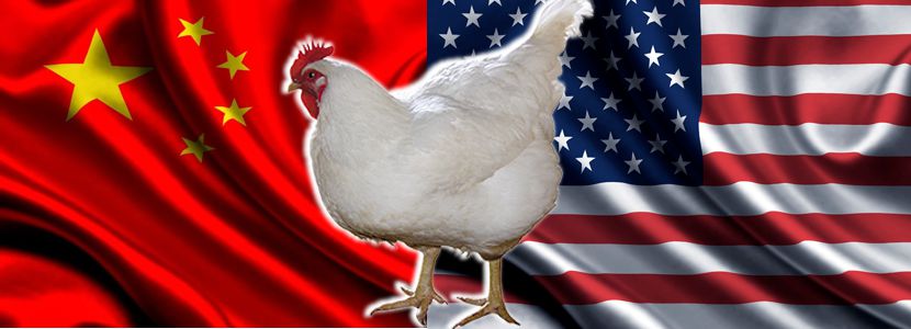 China suspende medidas antidumping contra frango dos EUA
