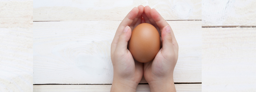 Desde temprana edad, el huevo es vital en una dieta...