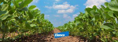 Mercado de materias primas FEB-MARZO por gentileza de ELANCO