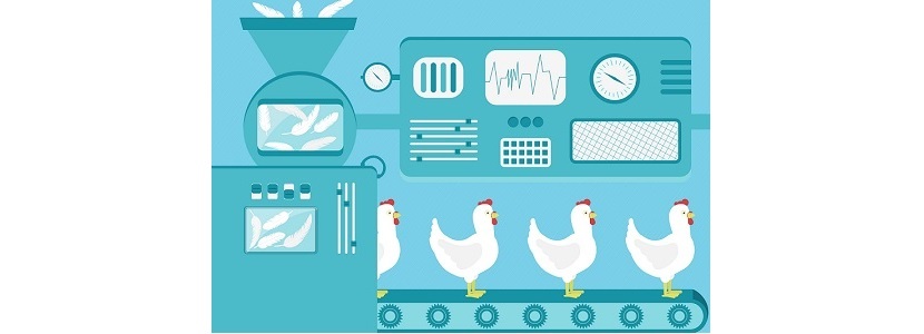 Industria avícola argentina debe aplicar sistema electrónico a faena
