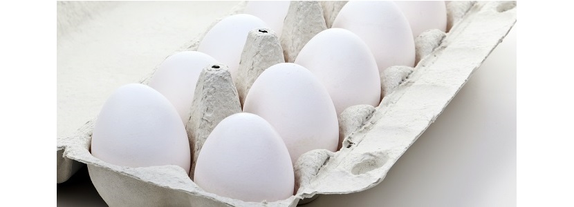 Por salmonella retiran del mercado 200 millones de huevos en EE.UU. ovos