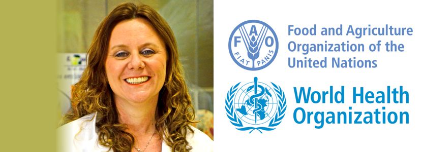 Pesquisadora Jalusa Kich integra grupo de especialistas da FAO e OMS