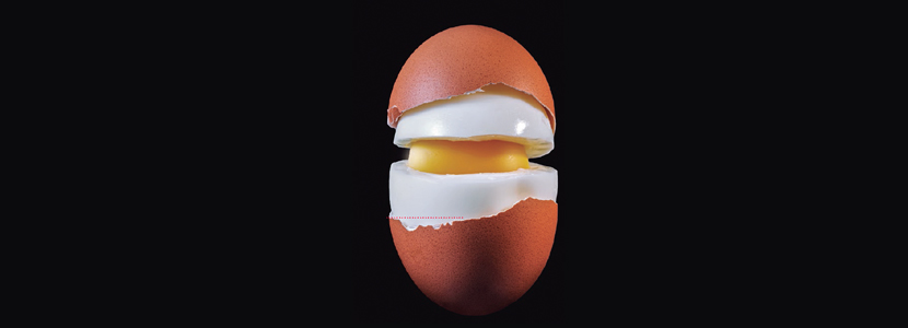 Calidad del huevo vs Sistemas de alojamiento en avicultura