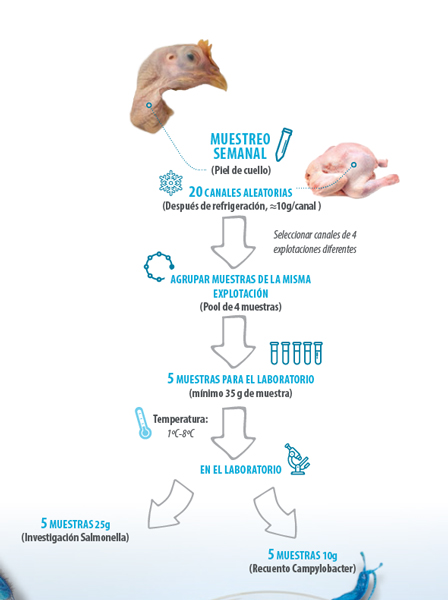 contaminación bacteriana