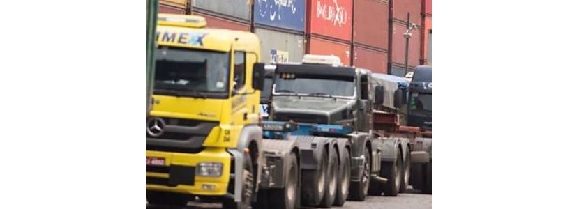 Bloqueos de camiones en Brasil por diésel afecta transporte de aves