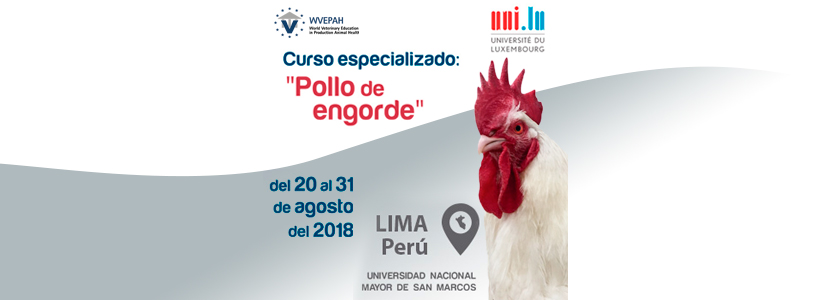 WVEPAH organiza: Curso especializado en «Salud de pollos de engorde»