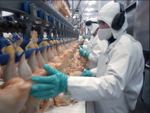 Volumen exportado de carne de ave tiene un incremento de 28,5% en Argentina