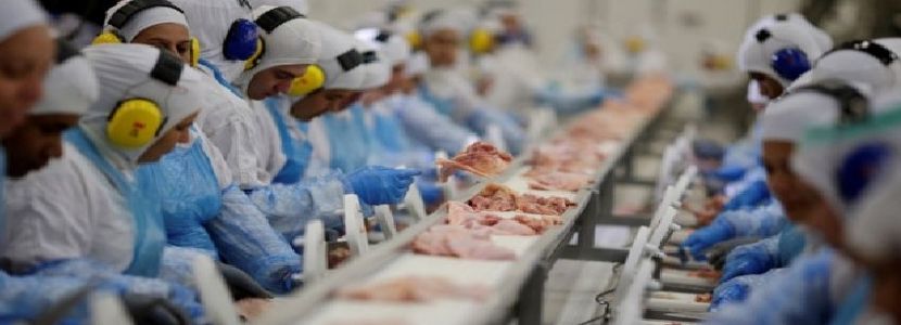 Arabia Saudita frena importación de carne de pollo de 5 plantas brasileñas