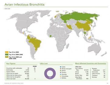 Bronquite Infecciosa