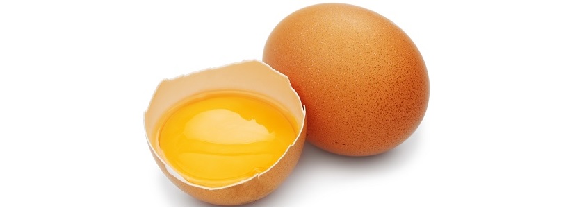 producción huevos