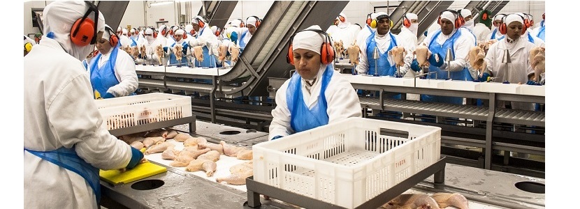 China aplica medidas antidumping a pollos brasileños y ABPA responde