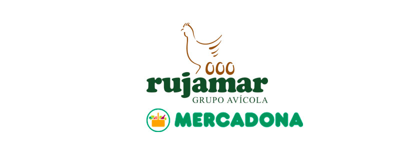 venta huevos alternativos