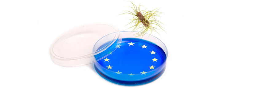Evaluación de las prácticas para el control de Salmonella en Europa