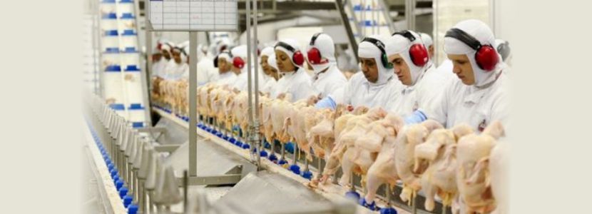 Uruguay espera negociar en China la apertura del mercado de carne de ave