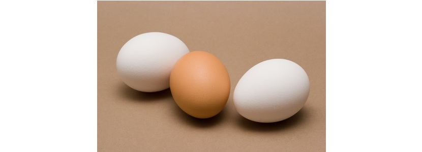 ¿Podrán los huevos mejorar la salud cardiometabólica?