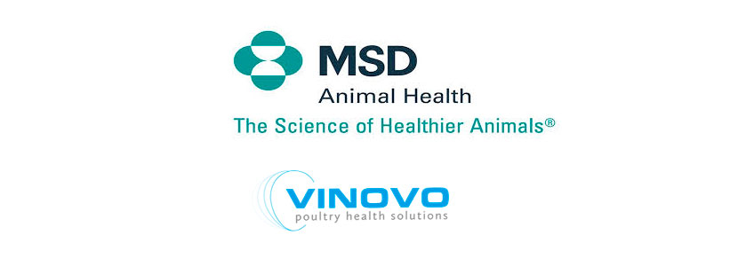 MSD se asocia con Vinovo para mejorar la salud del...