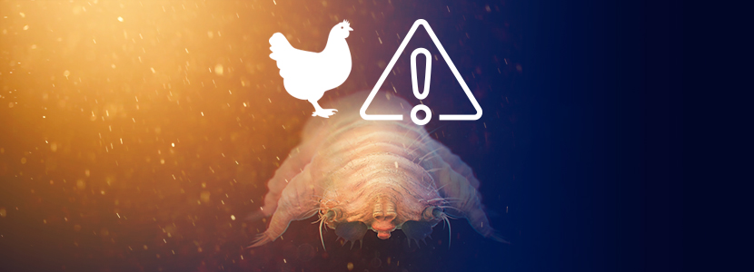 Hotraco presenta un enfoque sostenible del ácaro rojo de las gallinas