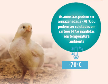 patología aviar