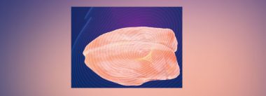 Imagen Revista Identificando a condição do peito de madeira