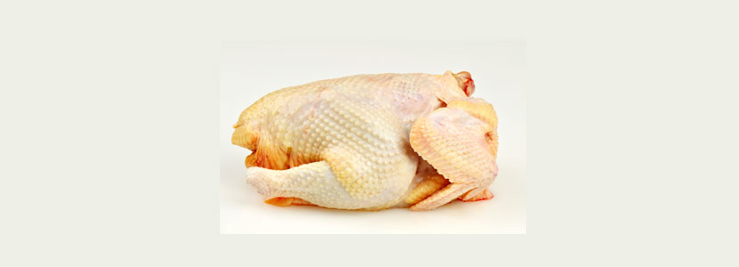 Factores que afectan a la pigmentación de los pollos
