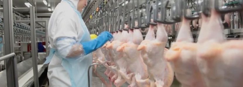 Brasil envía lista con 30 frigoríficos propuestos para exportar a China Paraná carne de frango