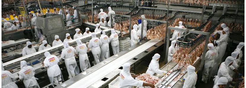 Pif Paf exportação de carne de frango à África do Sul