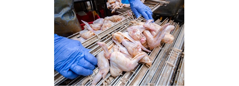Avicultores mexicanos ¿Desplumados por importación de pollo de EE.UU.?