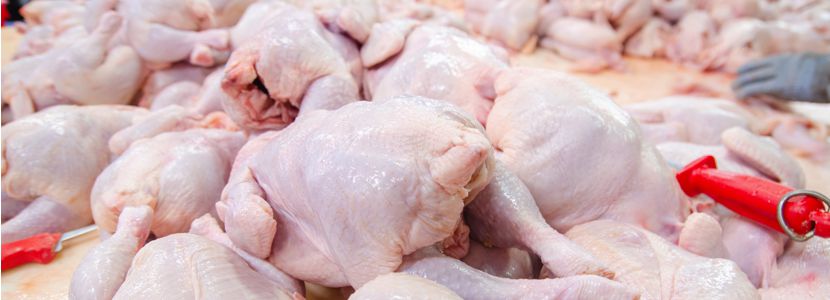 Brasil-ingresos-exportaciones-carne-pollo-2019