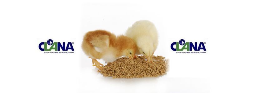 VIII CLANA: Nutrición Animal y Producción Sustentable de Alimentos
