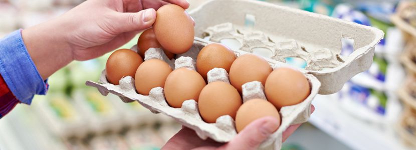 Brasil: Consumo de huevos en 2018 será el mayor de la historia